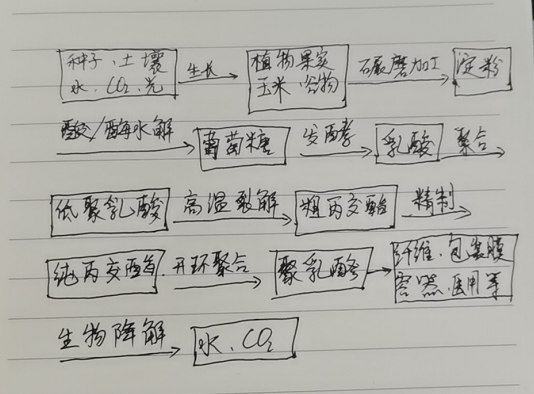 生物降解袋中的PLA是如何制得的？(圖1)